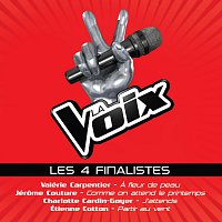 Různí interpreti – La Voix: Les 4 Finalistes
