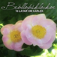 Přední strana obalu CD Brollopsklockor - 16 latar om karlek