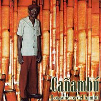 Přední strana obalu CD Los soneros del bambú