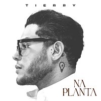 Tierry – Na Planta