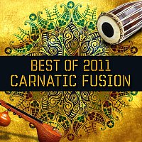 Různí interpreti – Best Of 2011 - Carnatic Fusion