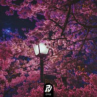 Alto – Blossom