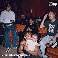 Hov1 – … men det gor jag egentligen