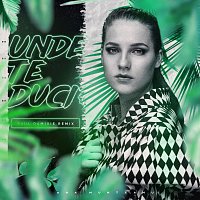Ana Munteanu, Paul Damixie – Unde te duci? [Paul Damixie Remix]