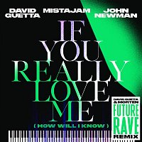 David Guetta x MistaJam x John Newman – If You Really Love Me (How Will I Know) [David Guetta & MORTEN Future Rave Remix]