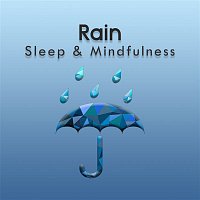 Sleepy Times, Sample Rain Library & Nature Recordings – Sleep to Summer Rain