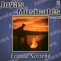Různí interpreti – Joyas Musicales: Fogata Nortena, Vol. 3