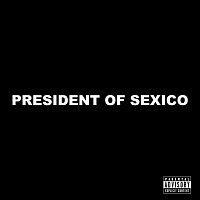 STEIN27 – PRESIDENT OF SEXICO