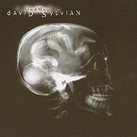 David Sylvian – God Man