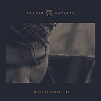 Sandro Cavazza – What It Feels Like