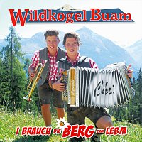 Wildkogel Buam – I brauch die Berg zum Lebm