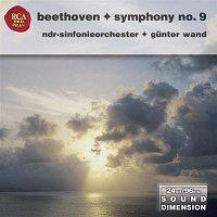 Přední strana obalu CD Dimension Vol. 5: Beethoven - Symphony No. 9