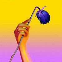 Matoma – Lonely (feat. MAX) [Steve Aoki Remix]