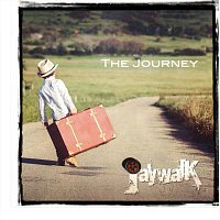 Přední strana obalu CD The Journey