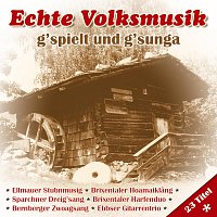 Různí interpreti – Echte Volksmusik - g'spielt und g'sunga