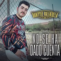 Daniyel Valenzuela – No Se Ha Dado Cuenta