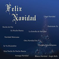 Various  Artists – Felíz Navidad