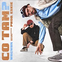 Přední strana obalu CD Co Tam