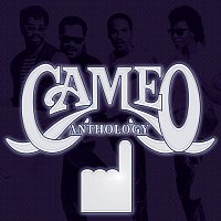 Přední strana obalu CD Anthology
