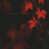 Sandy Mental – Remember