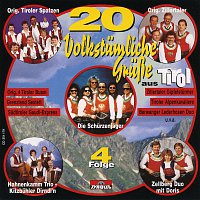 Různí interpreti – 20 Volkstumliche Grusze aus Tirol - Folge 4