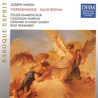 Haydn: Theresienmesse, Salve Regina