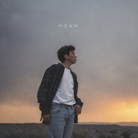 AUSTN – Mean