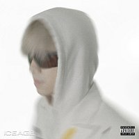 ICEACE – ICEAGE