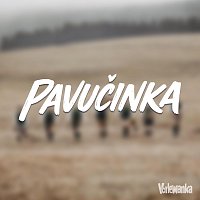 Přední strana obalu CD Pavučinka