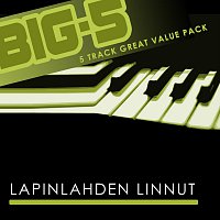 Big-5: Lapinlahden Linnut