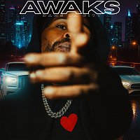 Přední strana obalu CD Dans la City