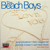 The Beach Boys – 20 Great Love Songs