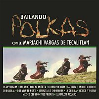 Bailando Polkas