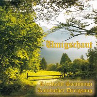 Kirchleitn Soatnmusi, Rainbacher Dreigsang – Umigschaut