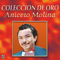 Aniceto Molina – Colección De Oro