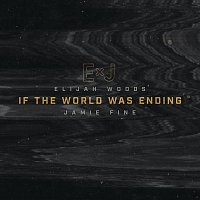 If The World Was Ending [Cover]