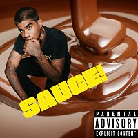 FUDGY – SAUCE!