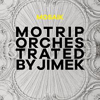 Přední strana obalu CD Mosaik [MoTrip Orchestrated By Jimek / Live]