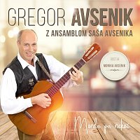 Gregor Avsenik z ansamblom Saša Avsenik – Morda pa nekoč
