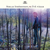 Niklas Stromstedt – Tva Vagar
