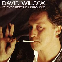 David Wilcox – My Eyes Keep Me In Trouble