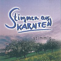 Stimmen aus Karnten – Stimmig