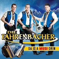 Die Fahrenbacher – Da is a Musi drin