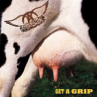 Aerosmith – Get A Grip MP3