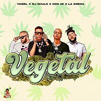 DJ Chulo NYC, Yaisel LM, El Don 45 – Vegetal