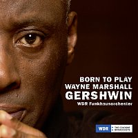 Wayne Marshall Born to Play Gershwin