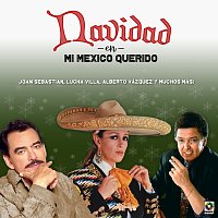 Různí interpreti – Navidad En Mi Mexico Querido