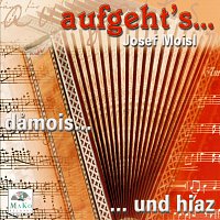 Josef Moisl, mozPartie, Die Hornmusi, Tennalmmusi, Unteraumusikanten, Trio K M K – aufgeht's...