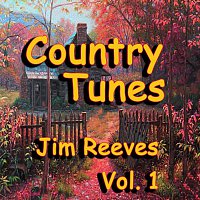 Country Tunes, Vol. 1