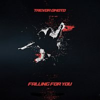 Přední strana obalu CD Falling For You